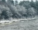 Sl.webp