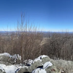 Panoramic view from Signal Knob