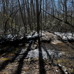 Rock hop across a feeder brook