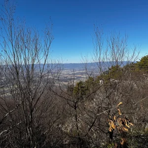 Views north