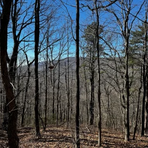 Views South