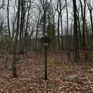 Massanutten Trail Goes Left